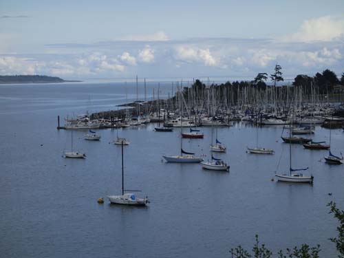 Trouper II rests at anchor on our private mooring buoy in Cadboro Bay
