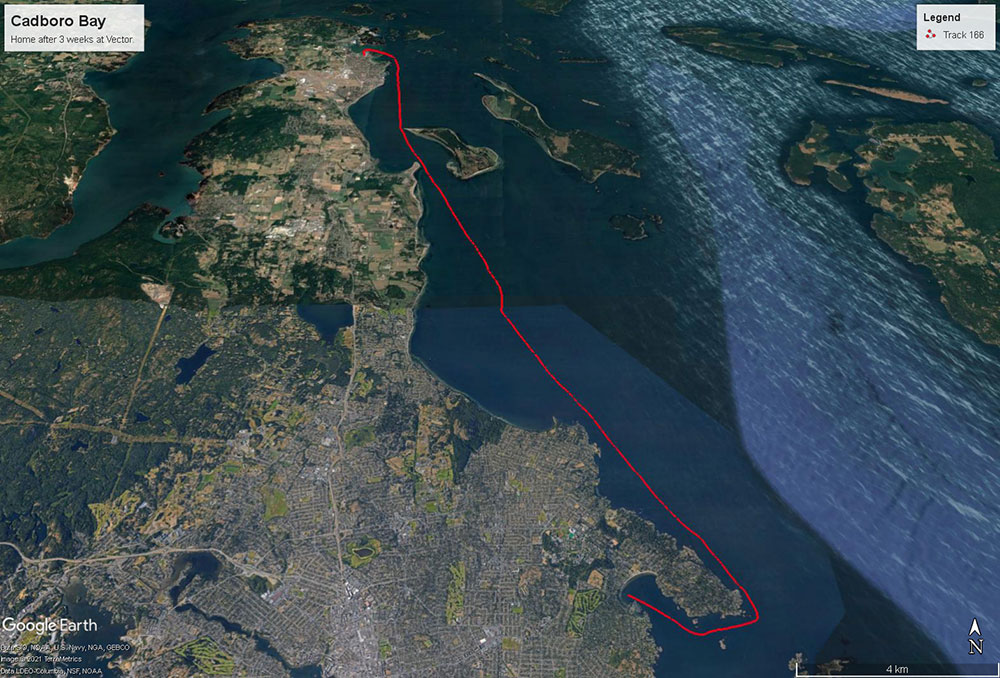 Navionics track