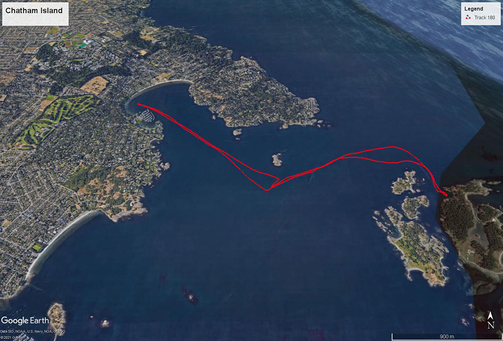 Navionics track