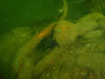 Chain and shackle on mooring anchor.