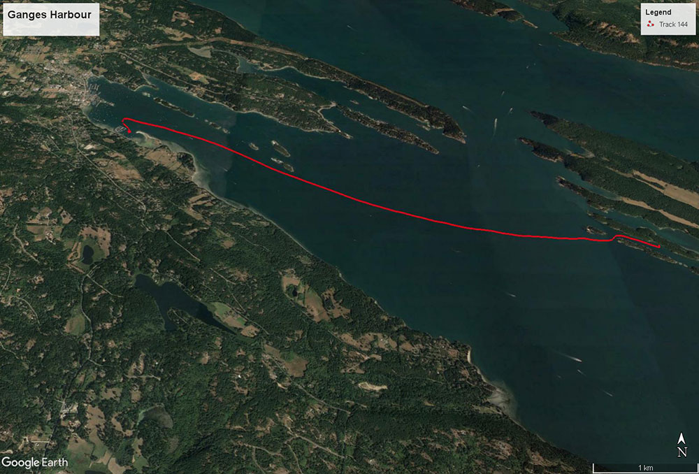Ganges Harbour, Salt Spring Island