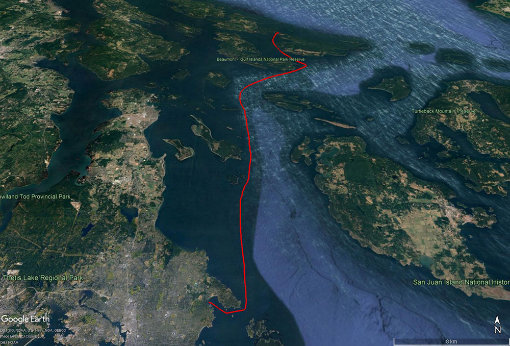 HomeFromIrishBay.jpg