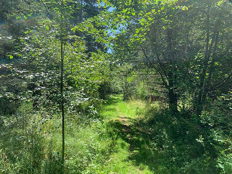 On the trail across Portland Island.