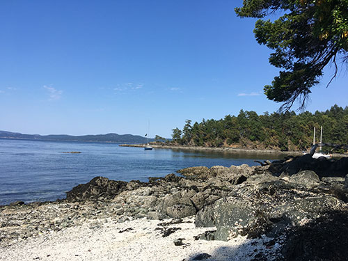 A little piece of paradise with T2 at anchor in Royal Cove, Portland Island.