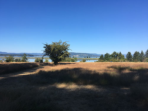 Not the savana. Sidney Spit meadow.