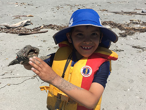 Look mom, a dead fish!