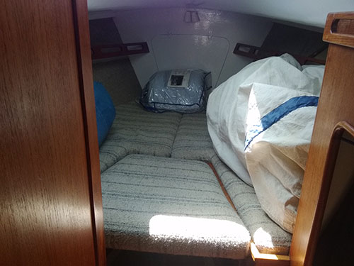 V-berth with cushions and newly painted ceiling.