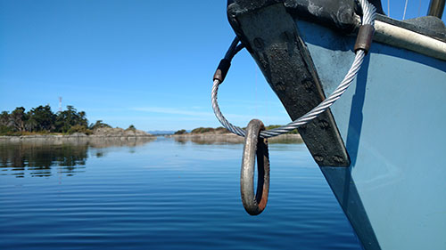 New mooring bridle. 30" x 3/8" galvanized steel rope.