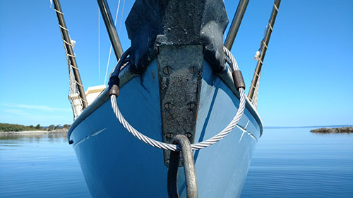 Another view of the new bridle.
