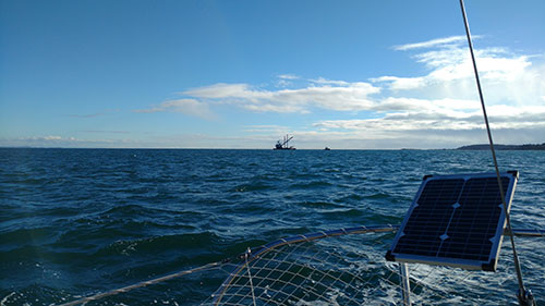You see the strangest things at sea.