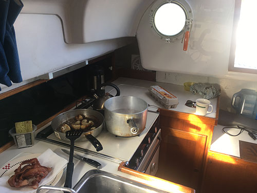 Breakfast of Mariners at Portland Island.