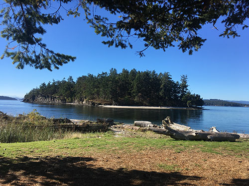 Enjoying some quiet time in the sun on Portland Island before departing for Cadboro Bay.
