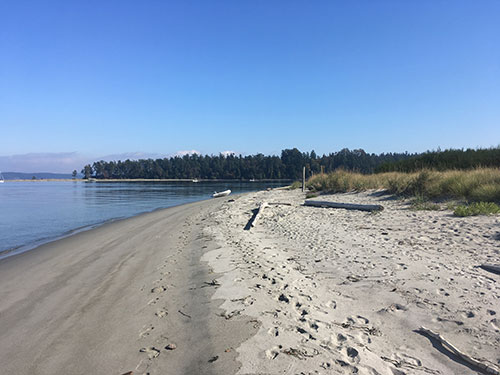 Exploring Sidney Spit. Just look at this beach!