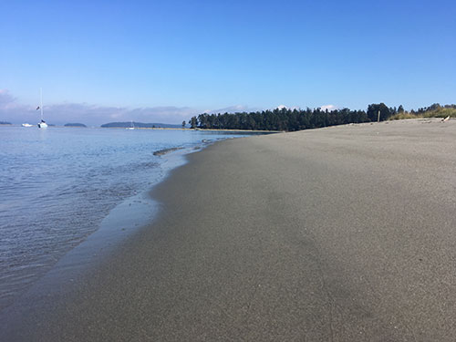 Wow. Now that's a beach!