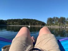 Swingin' in Princess Cove