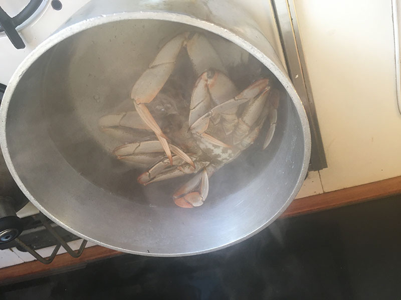The cure for crabs.