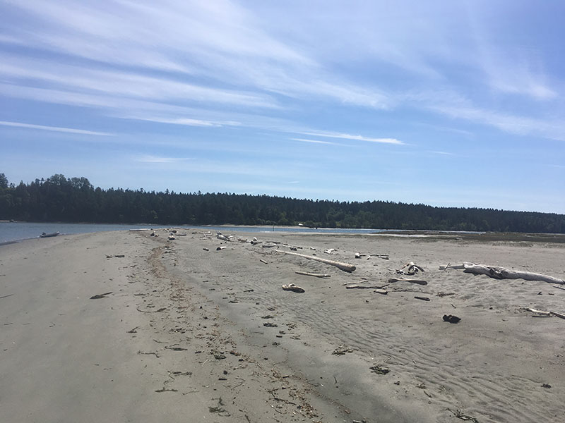 It's hard to beat the beaches at Sidney Spit!