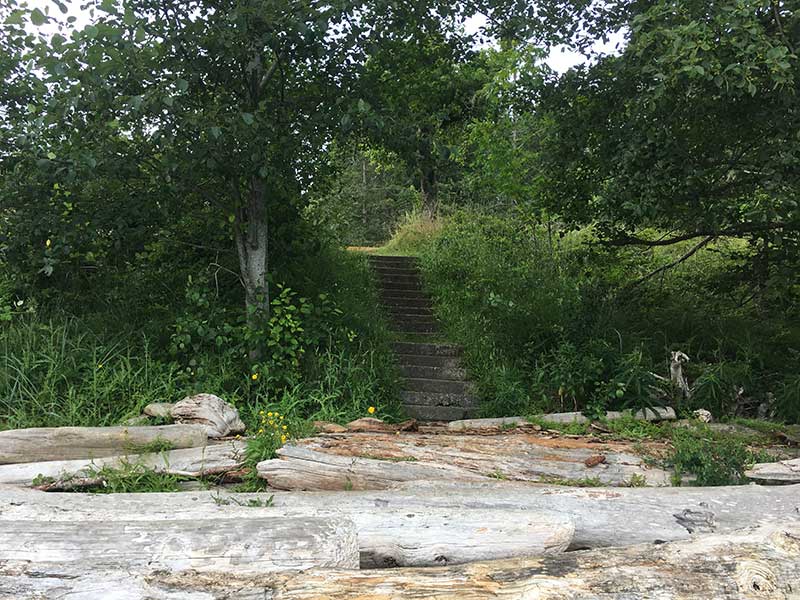Stairs leading to the picnic site at Princess Bay, Portland Island.