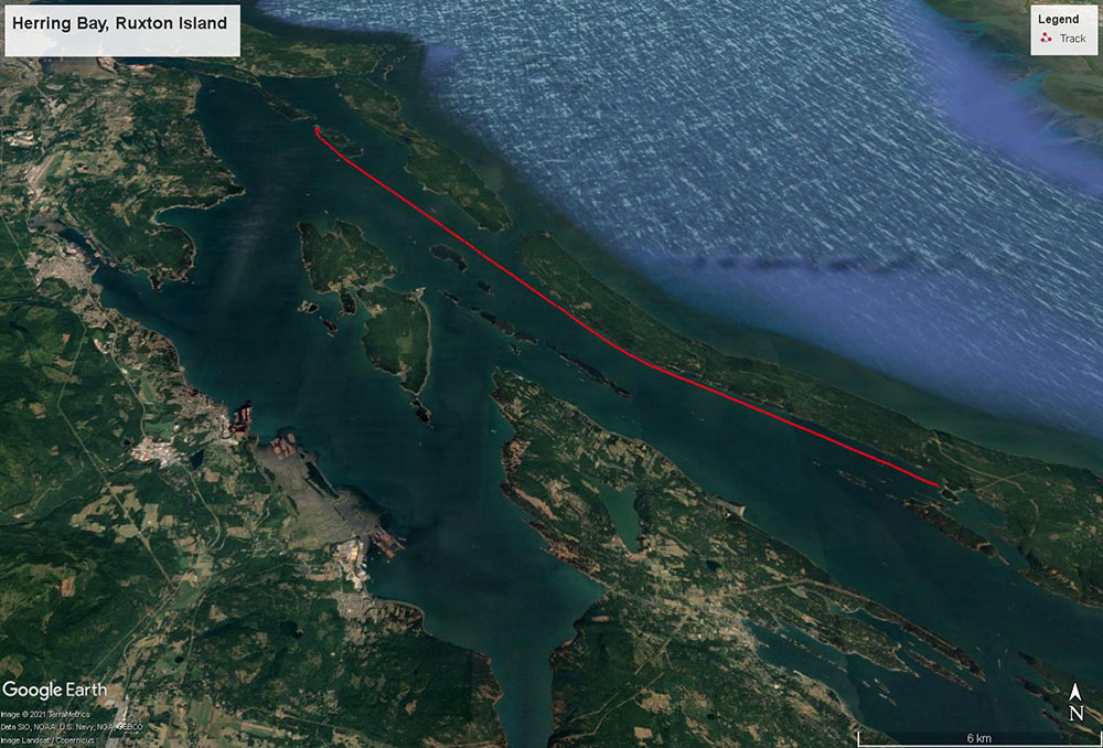 Navionics track