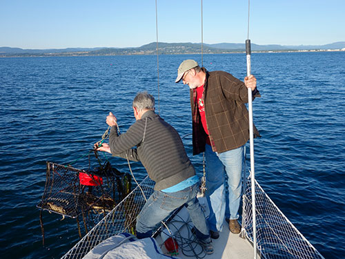 Paul and Tom hauling the crab trap at Sidney Spit.
