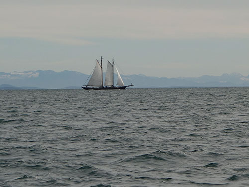 Pacific Grace off port beam.
