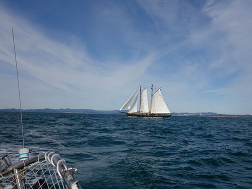 Pacific Grace off port stern.
