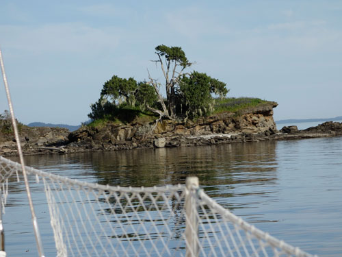 Small islet on Princess Bay.