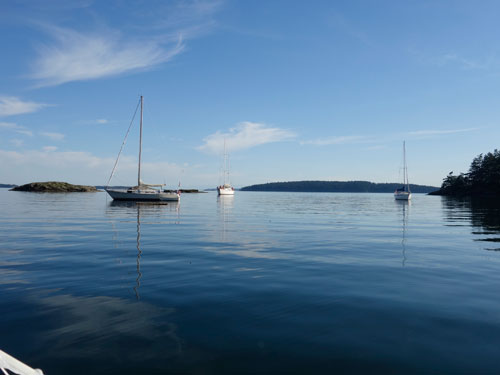 Neighbors in Princess Bay