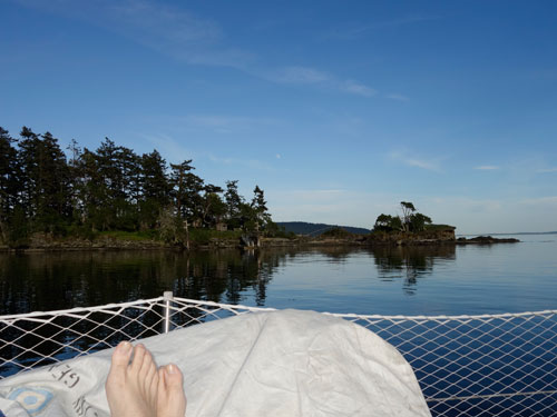 The life.