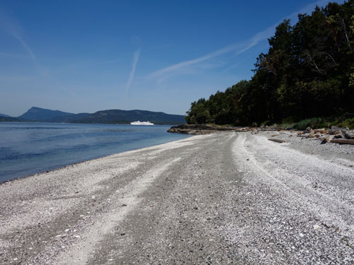 Just look at this white shell beach! Bring a blanket and spend the day.