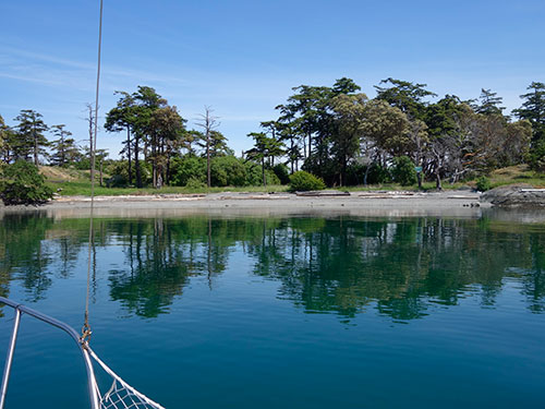 The beach at Chatham Island.
