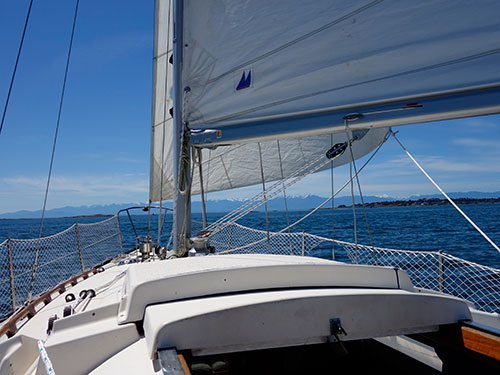 Olympic Mountains in the background.