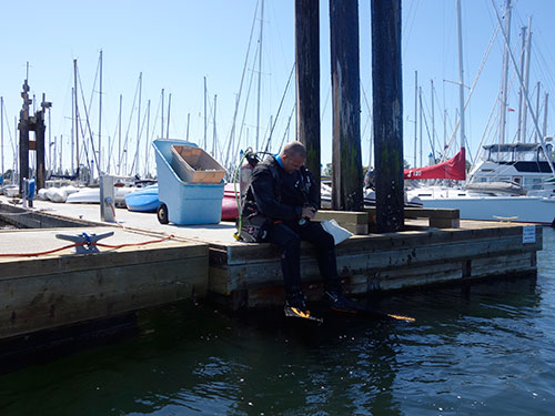 Isaac from Scuba Scrubbers at RVYC visitor's dock.