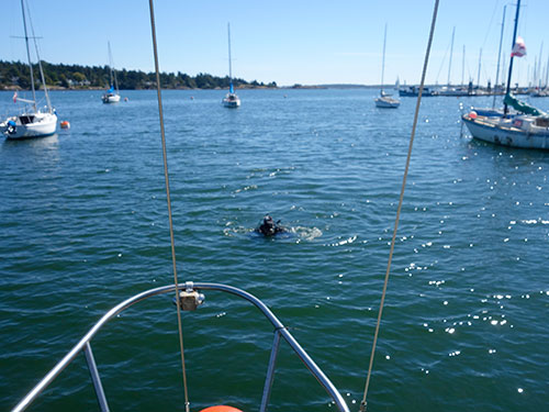 Isaac approaches T2 after swimming from RVYC visitor's dock.