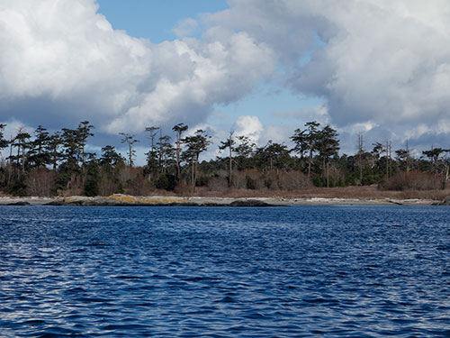 Nice beaches on Discovery Island.