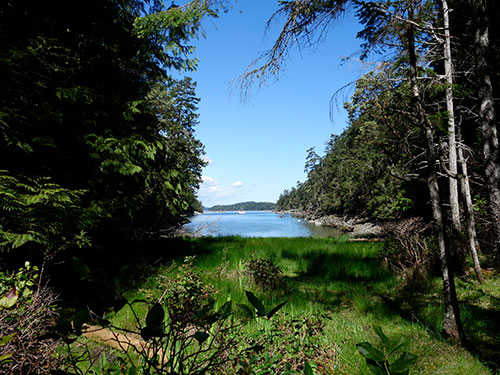 Princess Cove with T2 anchored in the distance. Past the beligerant power boater.