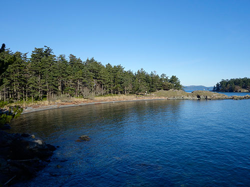 One of many stone beaches on D'Arcy Island