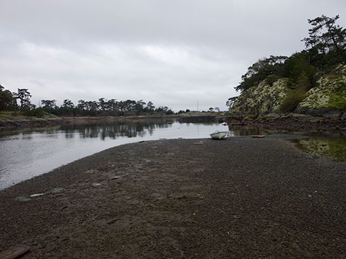 The clam beds with T2's mast in the background.