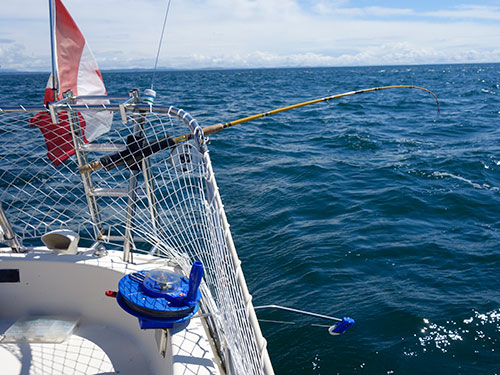 Rod and downrigger deployed.