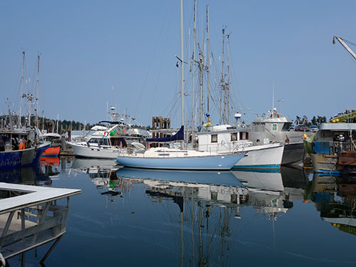 Tied up next to Tom's 'Byway' at Tsehum Harbour