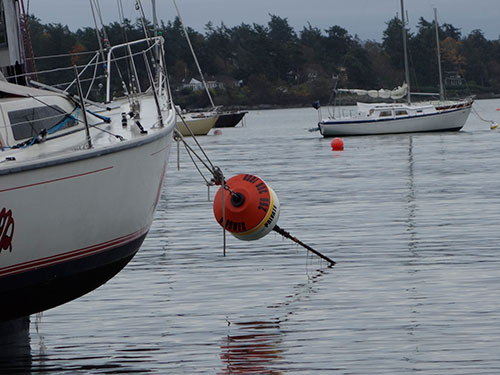 The other yacht club member's boat dragged her mooring buoy to the beach