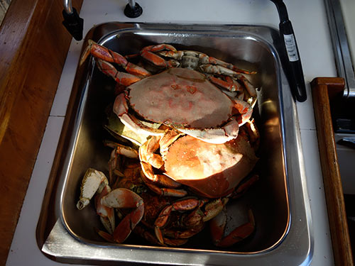 A galley full of cooked crab